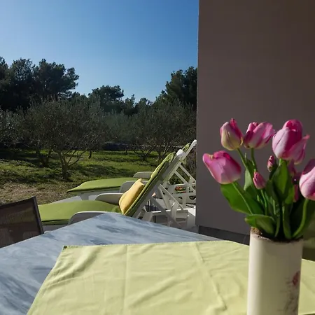 بيت للعطل Olive Eden ميلنا