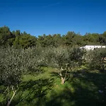 Olive Eden *