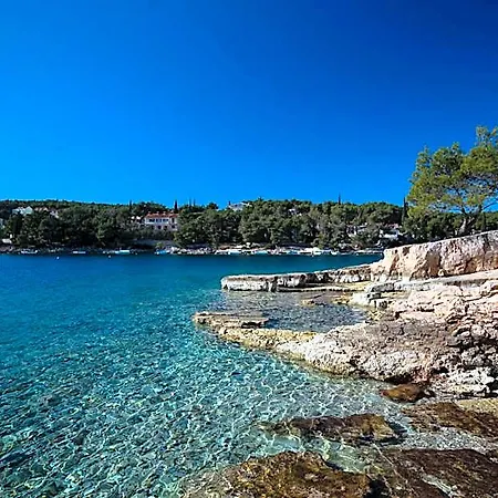 Σπίτι διακοπών Olive Eden Milna (Brac)