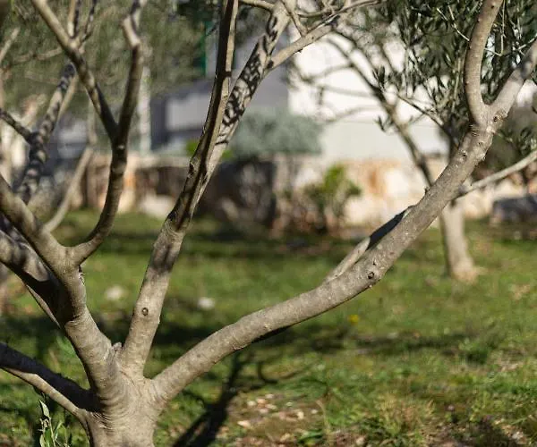 Olive Eden Ferienhaus *